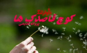 رمان کوچ قاصدک ها